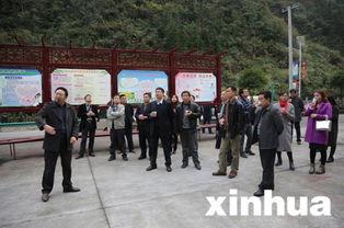 鹤峰县新闻爆料电话,倾听民声，守护平安  第2张